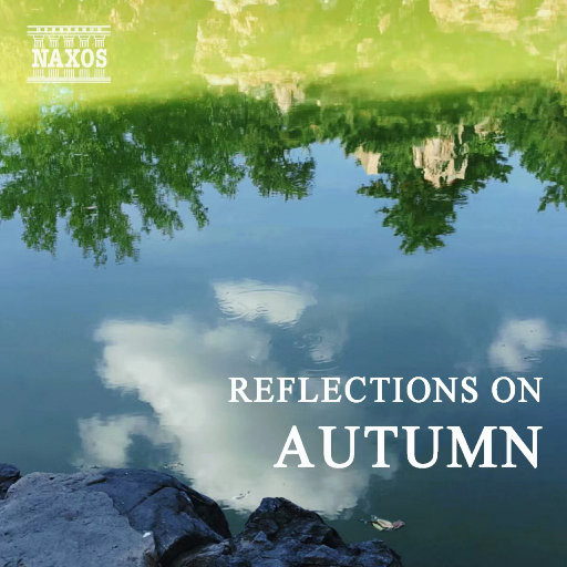 女兵裸体A级毛片视频
