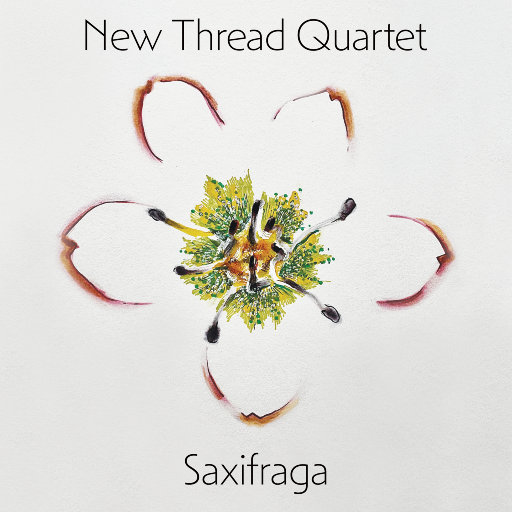 女兵裸体A级毛片视频
